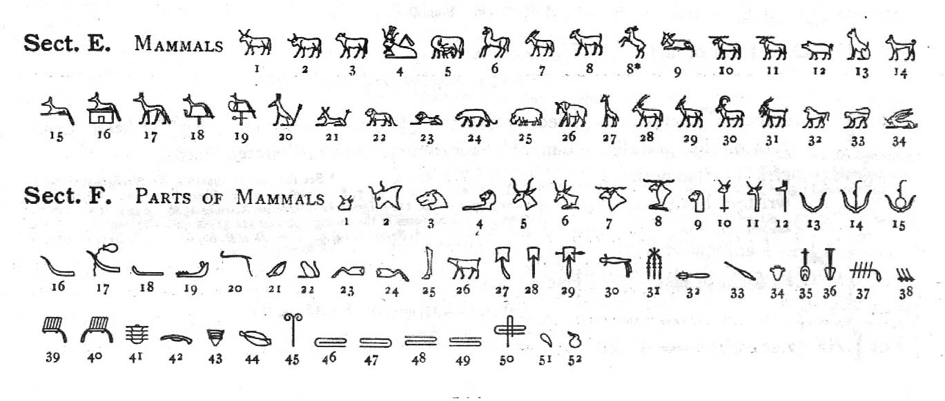 الكتابة الهيروغليفية و انواع الخطوط E-F