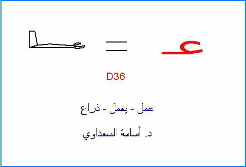 أصول حروف اللغة العربية  3ayn