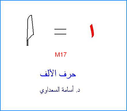 أصول حروف اللغة العربية  Alef