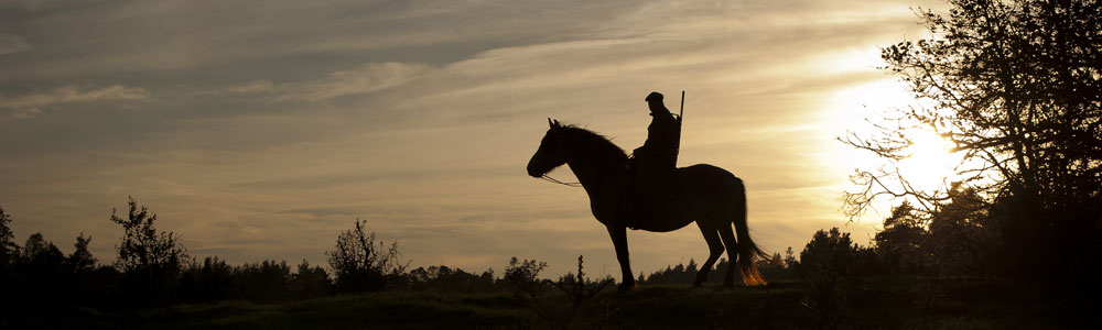 Chasse a cheval  Ekeskogs-Hunting-Peer-Horse