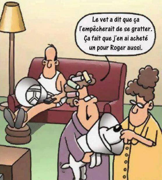 Humour en images... 2COGCJVR33un0iTtFkOrpr7iRSE