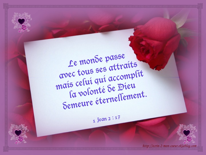 Seigneur... Je veux faire Ta volonté ! Montre-moi comment... 4c5oj_P4TAFw2F8UswYAGZ2xMjA