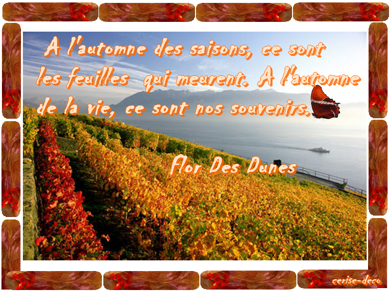 ♥Pensée du Jour♥ - Page 9 57uKFIazC6YW86C3fmrFmZXTwpc