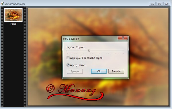 N° 8  Manany Tutorial Automne YV0WVzqYwSTasE_hvTtHjM1C92A