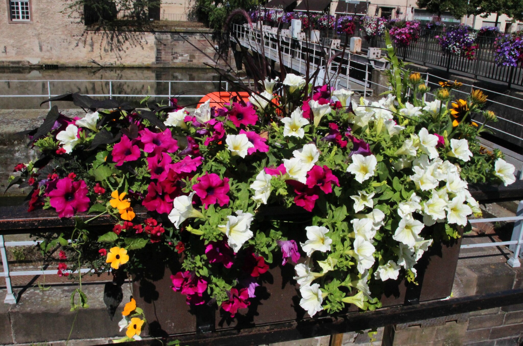 => Alsace Département 67/68 - Les Ponts fleuris de Strasbourg. _WDnUGUMNcX6bJn3Z29VEWQjMxs