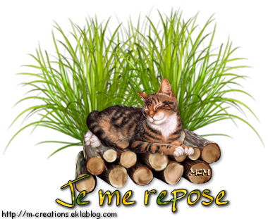 Les chats - Page 2 JH_dqh-39ZP-qKRYen_xVjupIjY