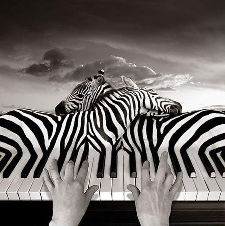 ¿Susrealismo? Thomas-Barbey-surrealismo-9