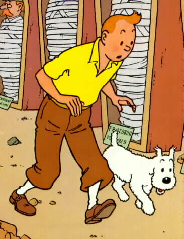 Tintin Tintin