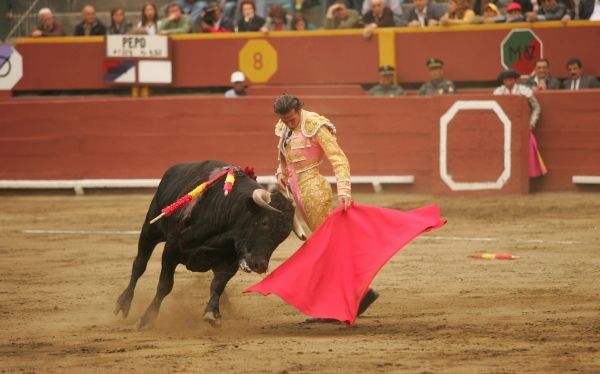 No habrá más corridas de toros en Bogotá, Colombia - Página 3 486048