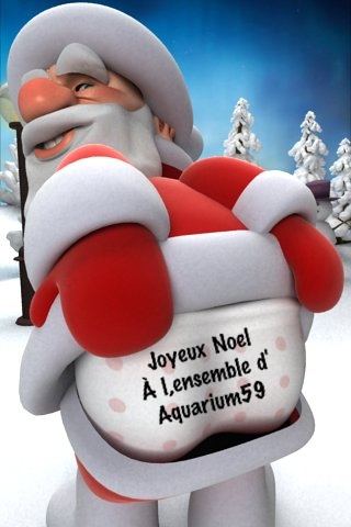 Joyeux Noël Noel59