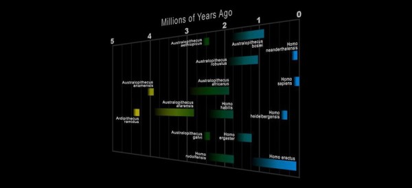 Порекло човека Milions-600x275