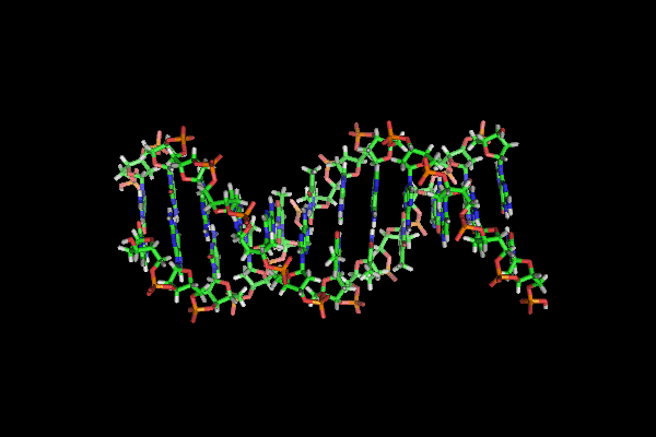 Форензика DNK