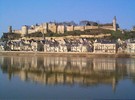 Chinon