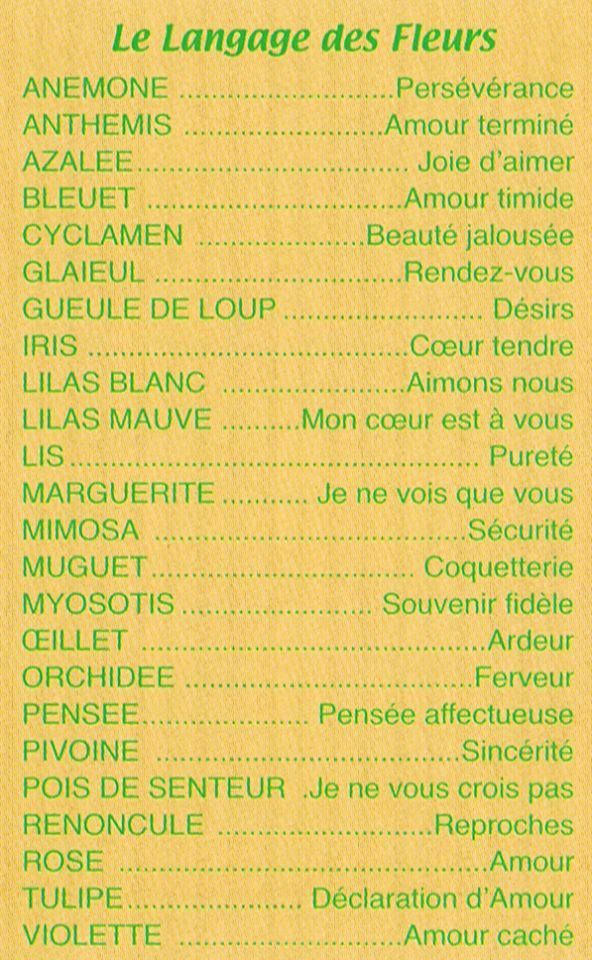 Le langage des fleurs + autres choses de la vie courante!!!(un peu de tout) B1e33280