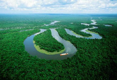 alamazon wood Amazon