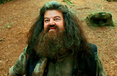 Jogo da imagem - Página 4 Hagrid