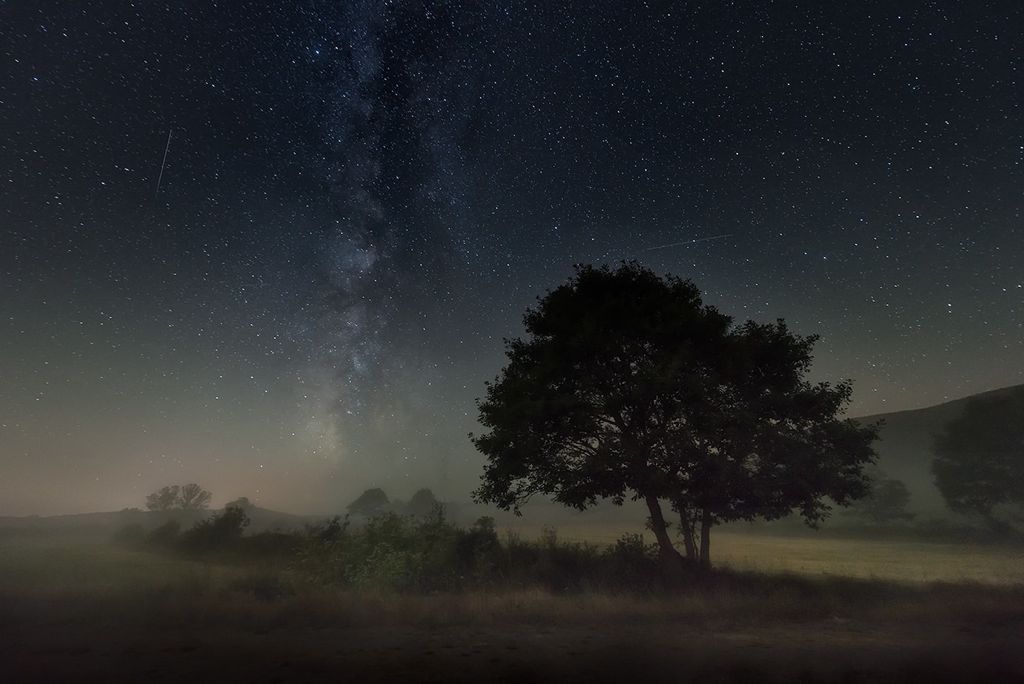 Sve boje noći - Page 19 Arbol-noche-estrellada