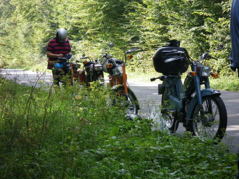 BALADE MOBS DU 07 SEPTEMBRE  IMGP5083