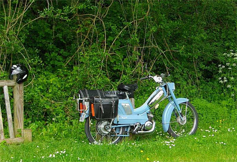 [Lundi 16 mai 2016] Sortie Mob dans la vallée du Loing Image10