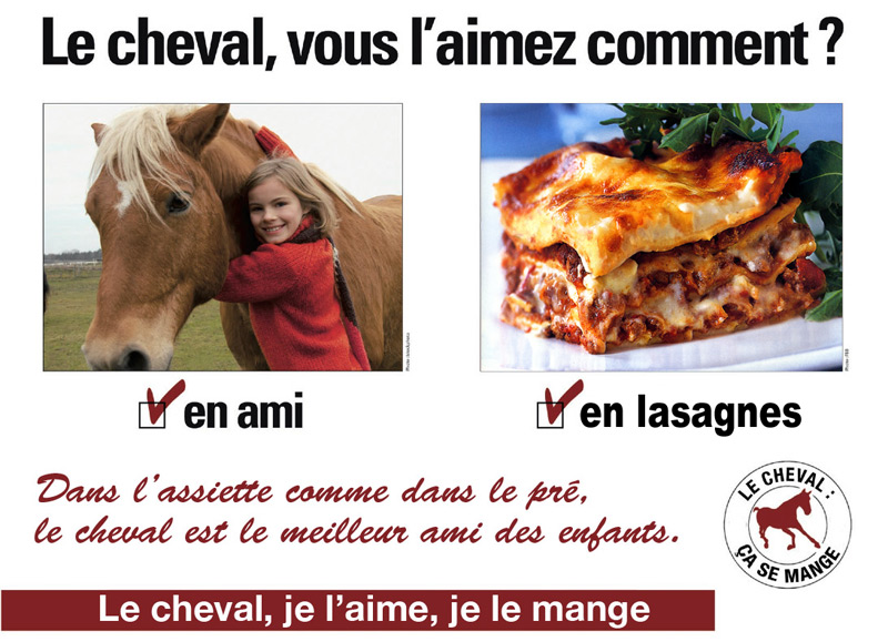 Jeu Alacon - Page 10 2013-aimer-le-cheval-lasagnes