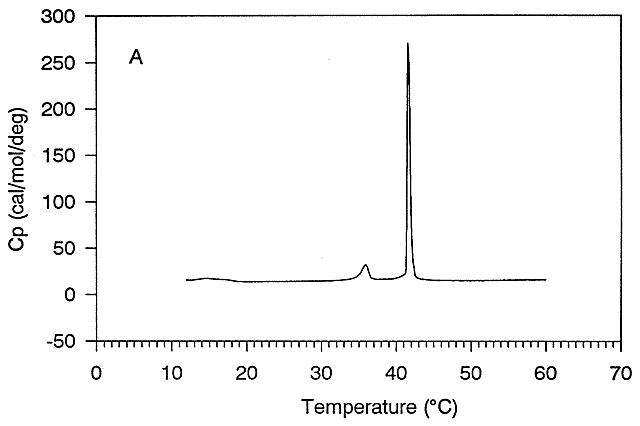 Dynamics of Membrane Lipids Dscdppc