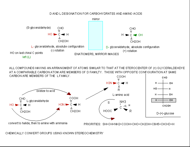 THE STRUCTURE AND PROPERTY OF AMINO ACIDS Dandlaa