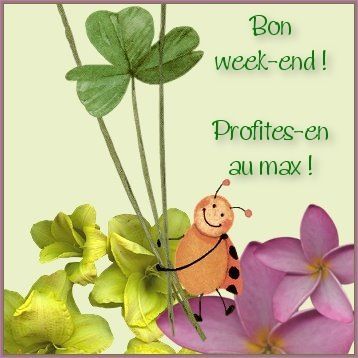 Gif "Bon Week-End" V8xixhf8