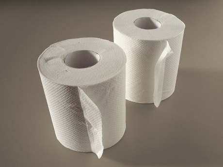 11 SIGNS THAT AMERICA HAS ALREADY GONE DOWN THE TOILET Toilet-Paper-Public-Domain-460x345