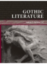 Gothic literature ! 2011062320372893679