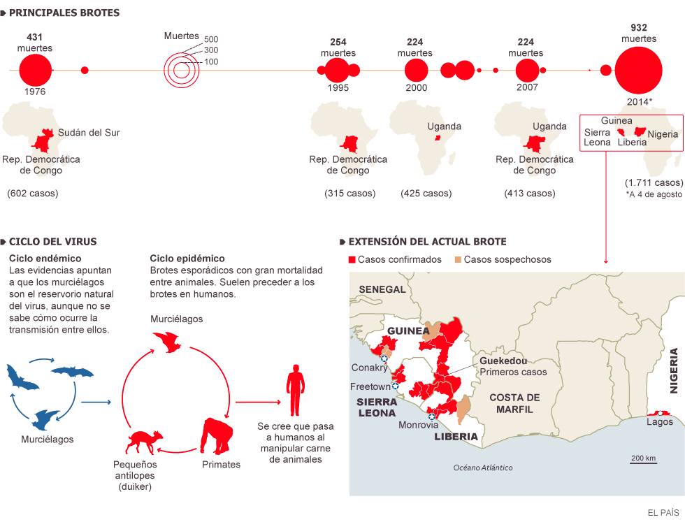  Virus Ébola, miles de personas muertas en África: Guinea, Liberia, Sierra Leona, Nigeria, Mali, República Democrática del Congo... 1407319509_229063_1407334977_noticia_normal