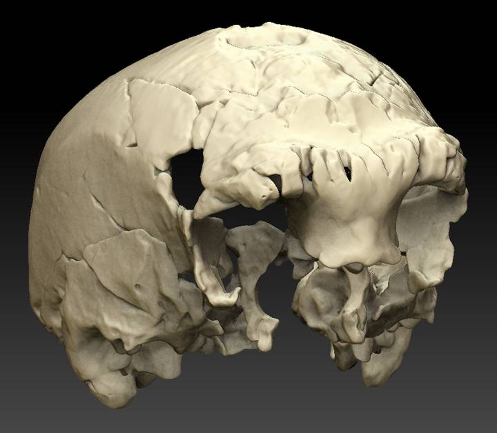 Antropología. Hallan en Portugal un cráneo fósil de un humano de hace 400.000 años contemporáneo de la Sima de los Huesos. [Historia] 1489430150_143433_1489431164_sumario_normal_recorte1