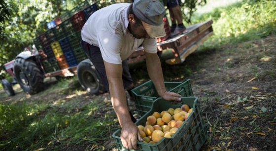 guerra - Guerra Económica contra Rusia - Página 13 1438354415_574604_1438359251_noticia_normal