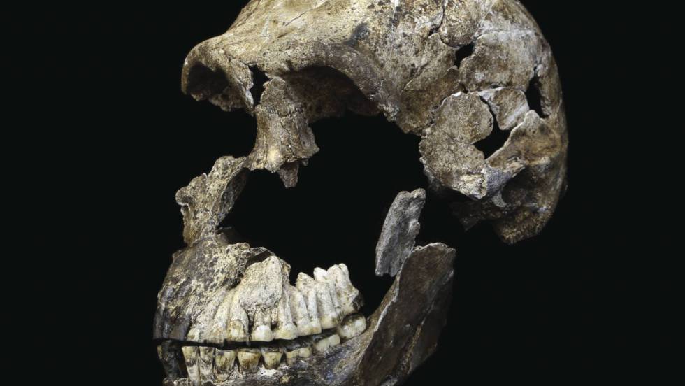 «Homo naledi», una nueva especie de homínido con rasgos de Australopithecus. [Historia] 1494269515_595710_1494325888_noticia_fotograma