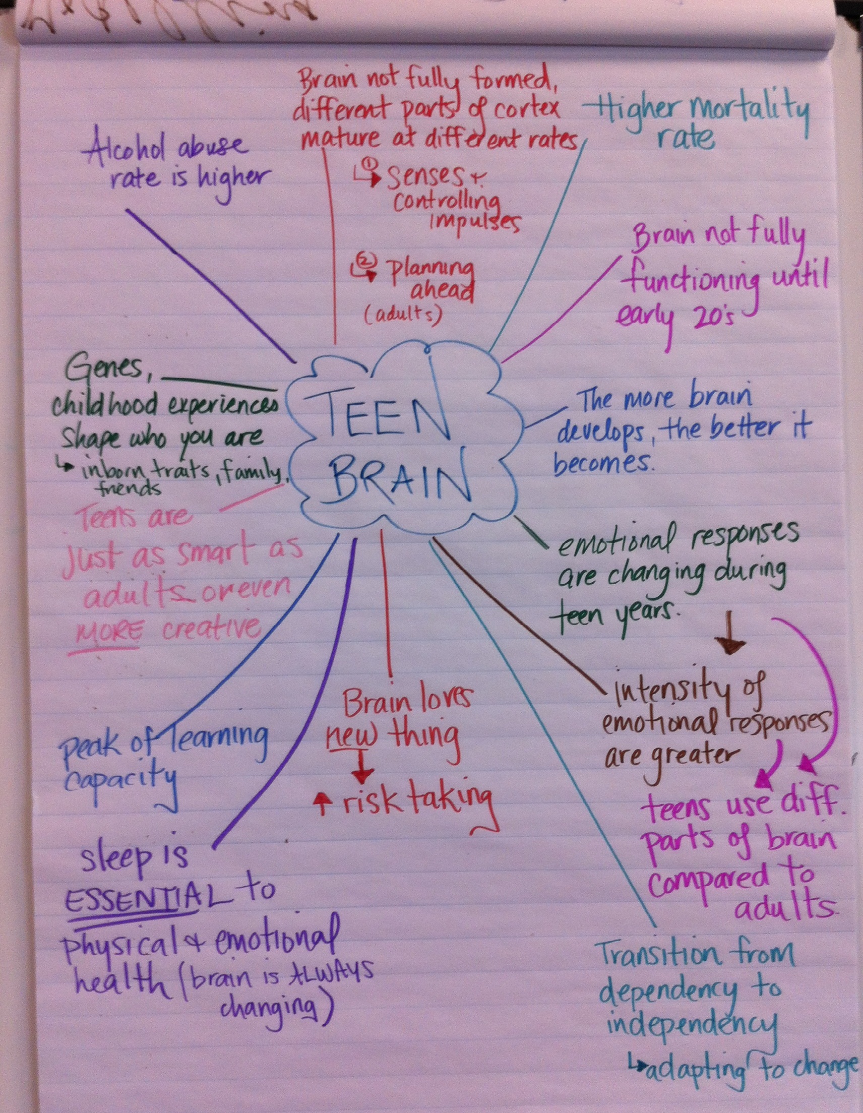 teen_brain_mind_map Teen_brain_mind_map