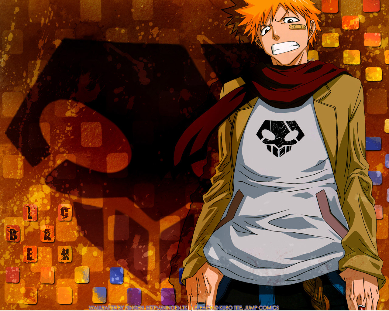 Bleach 20 WallPapers BleachW14