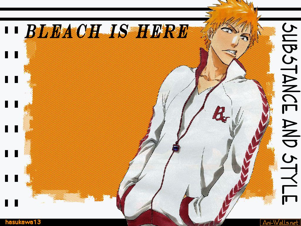 Bleach 20 WallPapers BleachW3