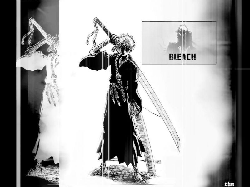 Bleach 20 WallPapers BleachW8