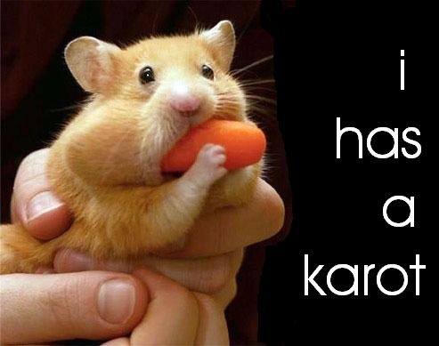 Idk. =] HamsterCarrot