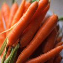 Pasos para cultivar zanahorias en la terraza Pasos-cultivar-zanahorias-terraza_1_1317778