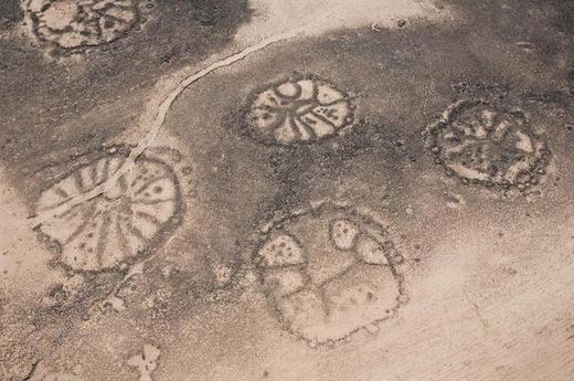 Descubren misteriosas "Líneas de Nazca" en Medio Oriente   Wheels_3