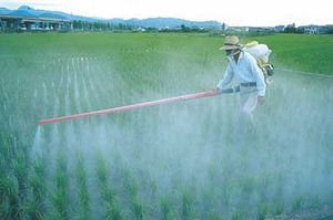 una madre argentina gana una batalla contra Monsanto Fumigacion