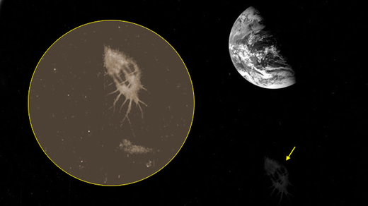 Revelan 'nubes' enigmáticas en fotos de la Tierra 5bfa4107bdb1108c10a1f008f87ccd