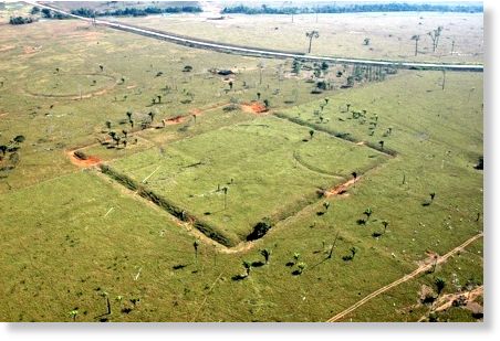 Descubren 20 geoglifos en Amazonia brasileña Geoglifos_en_Amazonia_4