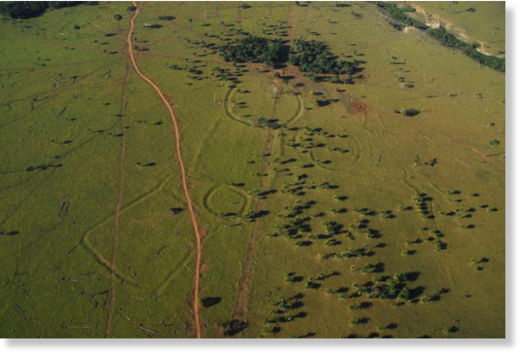 Descubren 20 geoglifos en Amazonia brasileña Geoglifos_en_Amazonia_8