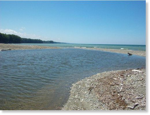 Siguen apareciendo casos de animles muertos pájaros, peces, cangrejos, pulpos, buitres, ballenas y muchas clases de animales  muertos en distintas partes del mundo en los ultimos dias   - Página 8 Lago_Erie