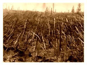 La caída y sus leyendas Tunguska_photo