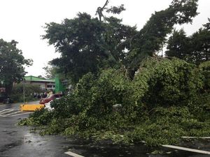 tormenta en Heredia deja fallecida y unas cien casas dañadas Proxy_storify_com