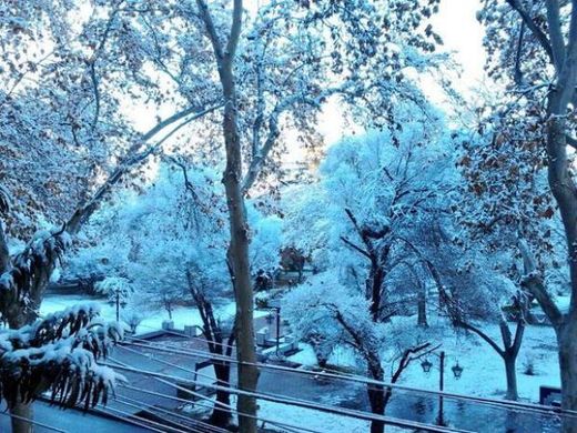 SEGUIMIENTO DE OLAS DE CALOR Y FRIO EN EL MUNDO!!!! - Página 15 Plaza_espana_mendoza_nieve