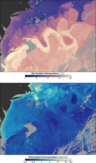 La farsa del calentamiento global Gulfstream_temp_2005108