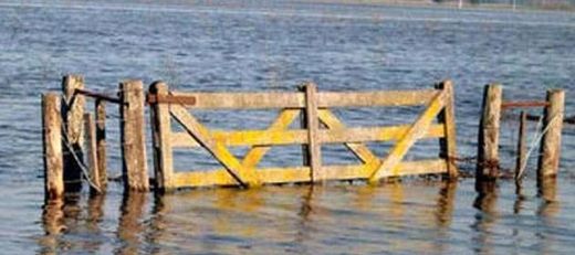 "SEGUIMIENTO METEOROLÓGICO" - Página 9 I14276_campo_inundaciones_631x